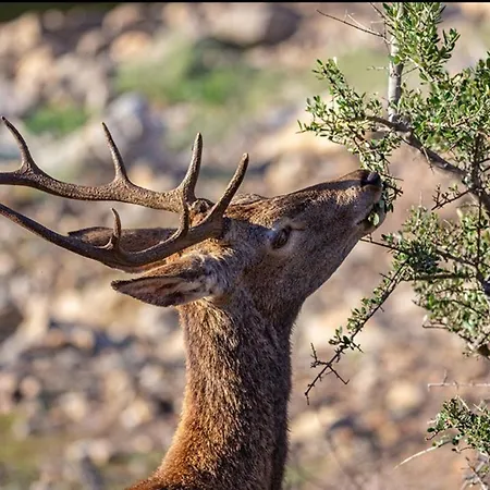Turisticos Huerto El Horno Apartament *