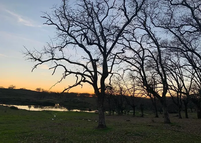 Turisticos Huerto El Horno