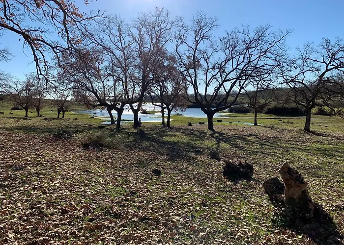 Turisticos Huerto El Horno * Torremenga
