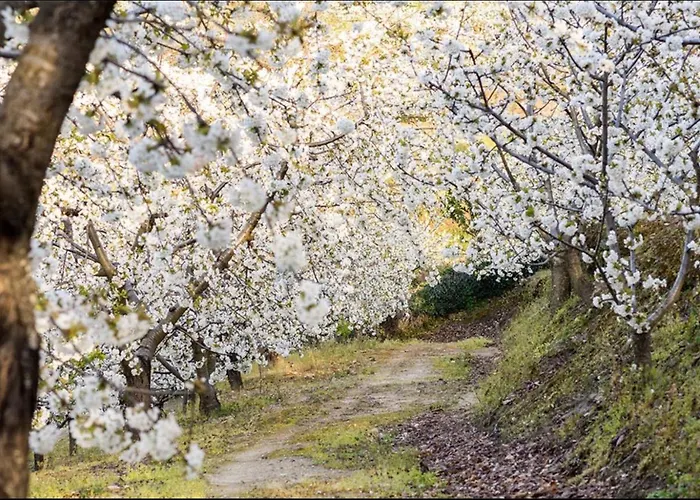 Turisticos Huerto El Horno Apartmán
